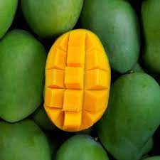 Saat Hamil Ternyata Baik Mengonsumsi Buah Mangga